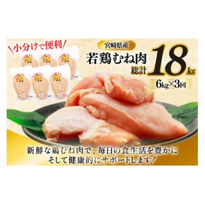 鶏肉 定期便 むね肉 若鶏 鶏むね肉 6kg 3回 総計18kg [31bp0020]