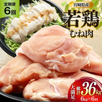 鶏肉 定期便 むね肉 若鶏 鶏むね肉 6kg 6回 総計36kg [31bp0019]