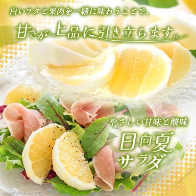 【2027年発送】宮崎県産 露地日向夏 約5kg(満杯詰め)