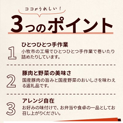 国産豚で作った惣菜セット6種　お弁当やおかずにも!　手軽　おいしい[022J08]