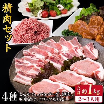 【豚肉&牛肉セット】メインのおかずを彩る精肉セット4種( 約1kg ) 2、3人前 [ACA200]