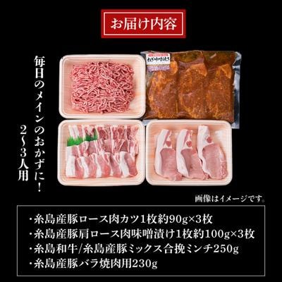 【豚肉&牛肉セット】メインのおかずを彩る精肉セット4種( 約1kg ) 2、3人前 [ACA200]
