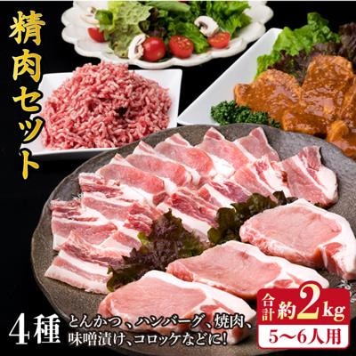 【豚肉&牛肉セット】メインのおかずを彩る精肉セット4種(約2キロ) 5、6人前 [ACA204]