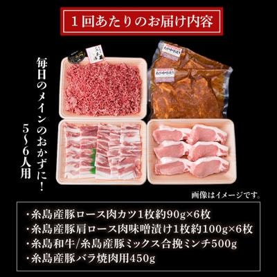 【豚肉&牛肉セット】メインのおかずを彩る精肉セット4種(約2キロ) 5、6人前 [ACA204]