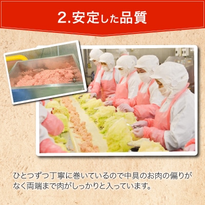国産豚で作ったロールキャベツ(10袋セット)　お弁当やおかずにも!　手軽　おいしい[022J04]