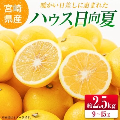 【2027年発送】宮崎県産ハウス日向夏 合計約2.5kg(9～15玉入)