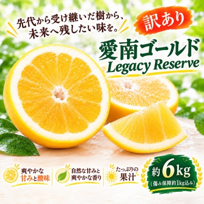 【先行受付】 訳あり 愛南ゴールド 合計約6kg 河内晩柑 エニシトラス