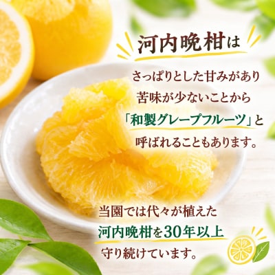 【先行受付】 訳あり 愛南ゴールド 合計約6kg 河内晩柑 エニシトラス