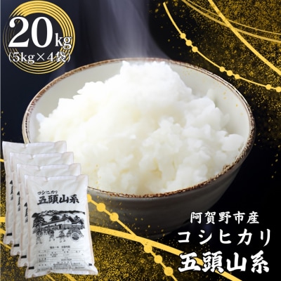 【令和7年産】コシヒカリ　どーんと20kg!「米屋のこだわり阿賀野市産」