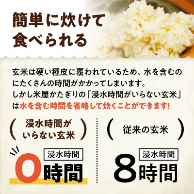 【令和7年産】「米屋のこだわり阿賀野市産」浸水時間がいらない玄米2kg