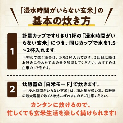【令和7年産】「米屋のこだわり阿賀野市産」浸水時間がいらない玄米2kg