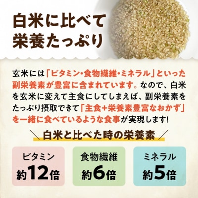 【令和7年産】「米屋のこだわり阿賀野市産」浸水時間がいらない玄米2kg