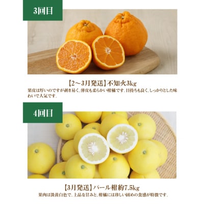 【定期便5回】厳選!天草 下浦地区の農家が愛情込めて育てた柑橘5種_S040-017A