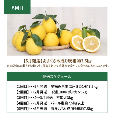 【定期便5回】厳選!天草 下浦地区の農家が愛情込めて育てた柑橘5種_S040-017A