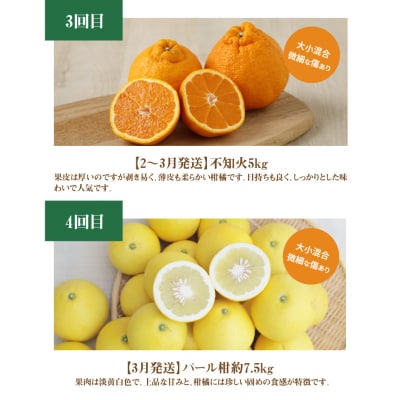 【訳あり 定期便5回】天草 下浦地区の農家が愛情込めて育てた柑橘5種_S040-018A