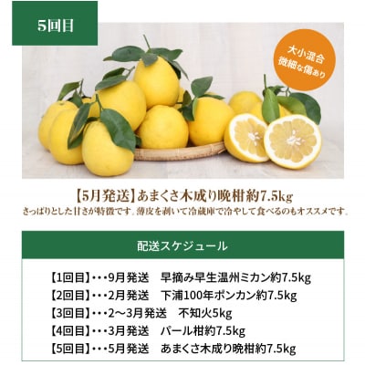 【訳あり 定期便5回】天草 下浦地区の農家が愛情込めて育てた柑橘5種_S040-018A