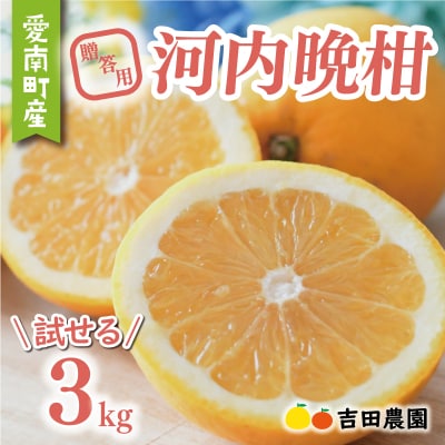 【先行予約】 贈答用 河内晩柑 3kg みかん 国産 吉田農園 愛南町 愛媛県