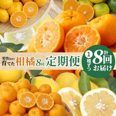 【定期便8回】天草 下浦地区の農家が愛情込めて育てた柑橘8種食べ尽しコース_S040-019A