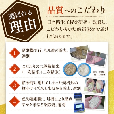 25kg大手有名百貨店出荷米 あきたこまち【白米】令和8年産|22_trp-112501