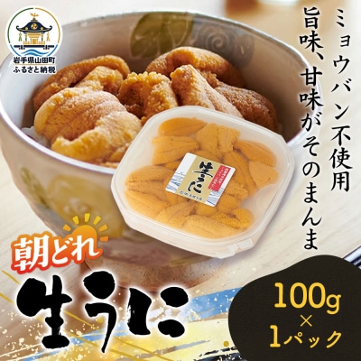 【無添加】三陸山田 生うに 【先行予約】100g×1パック 令和9年5月中旬以降発送 ウニ 雲丹