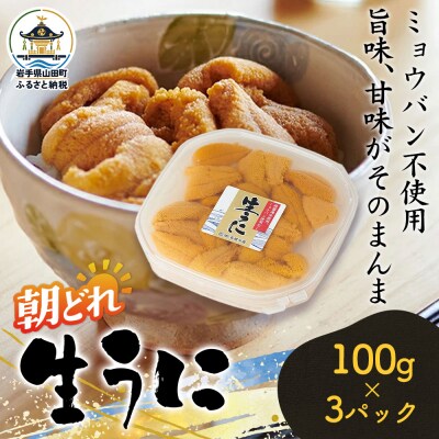 【無添加】三陸山田 生うに 【先行予約】100g×3パック 令和9年5月中旬以降発送 ウニ