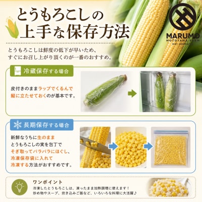 【令和9年産予約受付】とうもろこし ドルチェドリーム 20本 MARUMOスイートコーン 本山農場