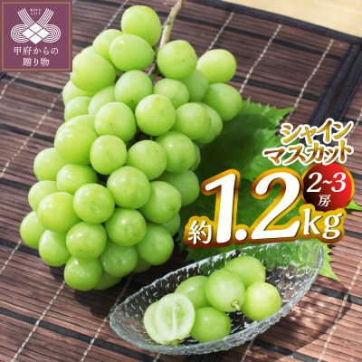 【2026年度配送分】甲府市産　シャインマスカット　約1.2kg(2～3房)