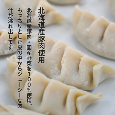 大きめ居酒屋餃子 600g 九州・沖縄配送不可 【AN-001】