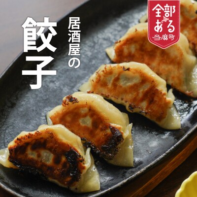 大きめ居酒屋餃子 1200g 九州・沖縄配送不可 【AN-002】