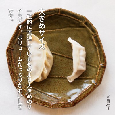 大きめ居酒屋餃子 1200g 九州・沖縄配送不可 【AN-002】