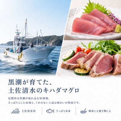 天然 キハダマグロ 1尾(約2kg～3kg)下処理あり 約8～12人前【R01758】
