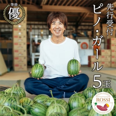 【先行受付2027年7月下旬以降発送】 小玉 スイカ ピノ・ガール 5玉 優以上 [AX030ya]