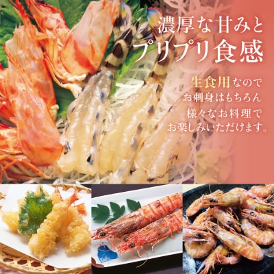 【鹿児島県産】活〆 冷凍車海老 計600g(生食)