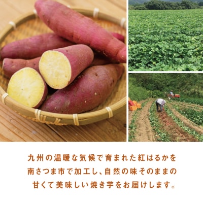 紅はるか 冷凍焼き芋 計3kg(500g×6袋)