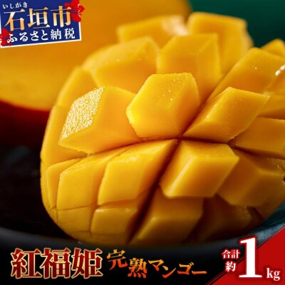 「紅福姫ブランド」石垣島のマンゴー 約1kg　【2027年6月から順次発送 先行受付】