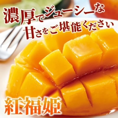 「紅福姫ブランド」石垣島のマンゴー 約1kg　【2027年6月から順次発送 先行受付】