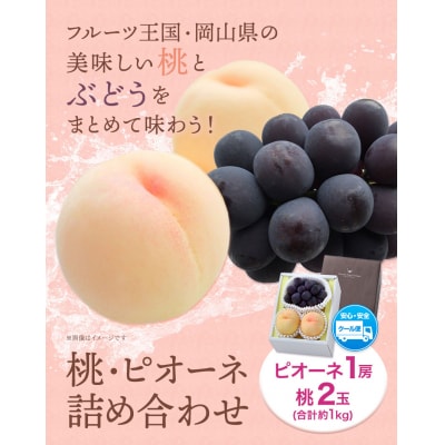 【2027年先行予約】桃・ピオーネ詰合せ約1kg　H-22b