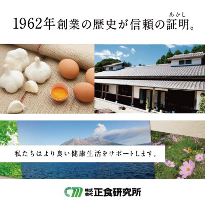 【健康補助食品】にんにく卵黄ソフト300(62粒入り×3袋) 正食研究所