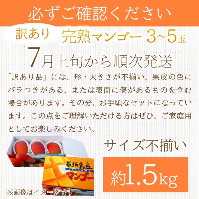 【訳あり】マンゴーサイズ不揃い 3～5玉 (約1.5kg)<先行予約><2027年6月から順次発送>