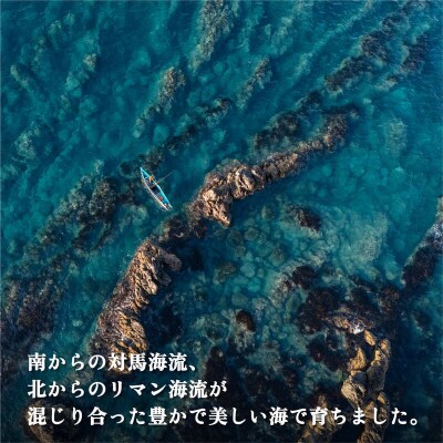 熟成 利尻昆布 化粧箱入り 1kg (20枚程度) 漁師直送! [1100001]