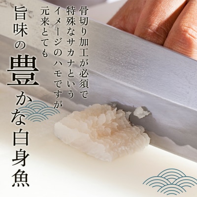 【お歳暮・贈答用・のし付き】天然鱧鱧鍋セット(3～4人前)【漁獲量全国トップクラス】【AQ007】