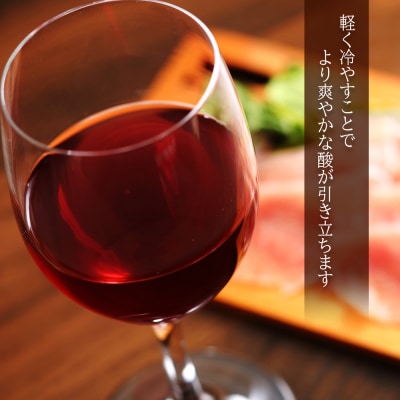<葡萄作りの匠 田崎正伸> ツヴァイゲルト&ピノ・ノワール【北海道ワイン】_Y020-0272