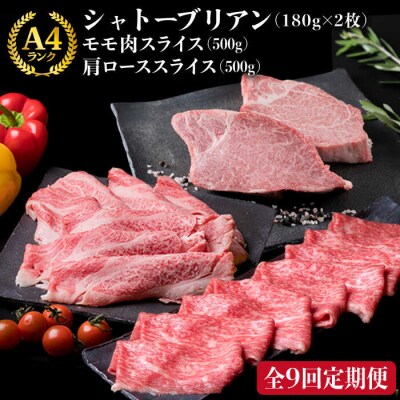 【全9回】シャトーブリアン180g×2枚&黒毛和牛肩ロース500g&モモ肉500g[ACA108]