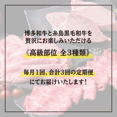 【全3回】シャトーブリアン180g×2枚&黒毛和牛肩ロース500g&モモ肉500g[ACA106]