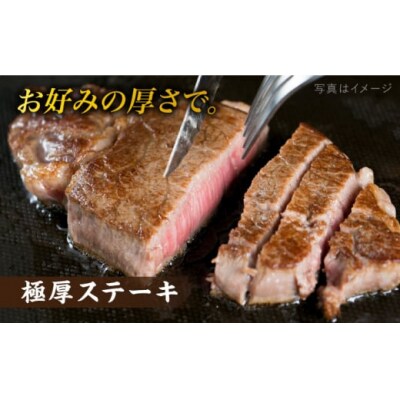 【全6回定期便】【シャトーブリアンブロック】 600g A4ランク 博多和牛[ACA354]