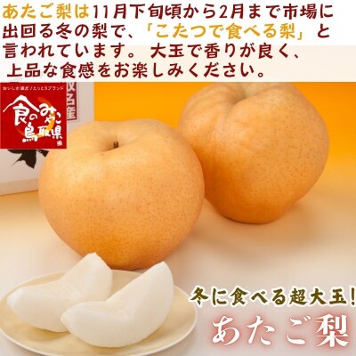 【2026年発送分】あたご梨 3kg