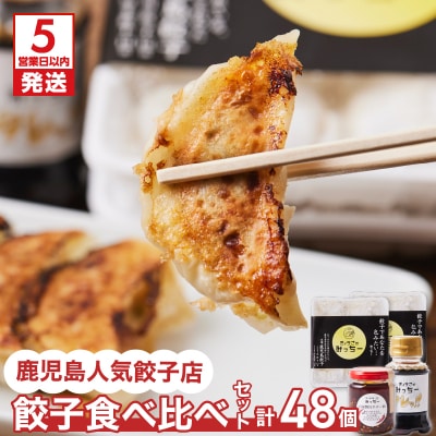 【5営業日以内に発送】鹿児島人気餃子店の餃子食べ比べセット　K118-001