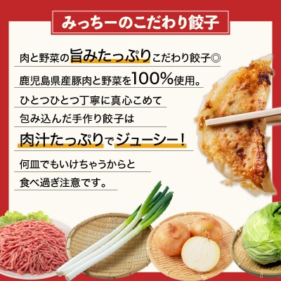 【5営業日以内に発送】鹿児島人気餃子店の餃子食べ比べセット　K118-001