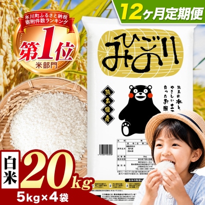 【12ヶ月定期便】ひごみのり 白米 熊本県産 ブレンド米 20kg《お申込み翌月から出荷》