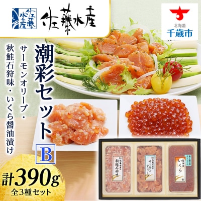<佐藤水産>潮彩セットB(サーモンオリーブ・石狩味・いくら醤油漬)